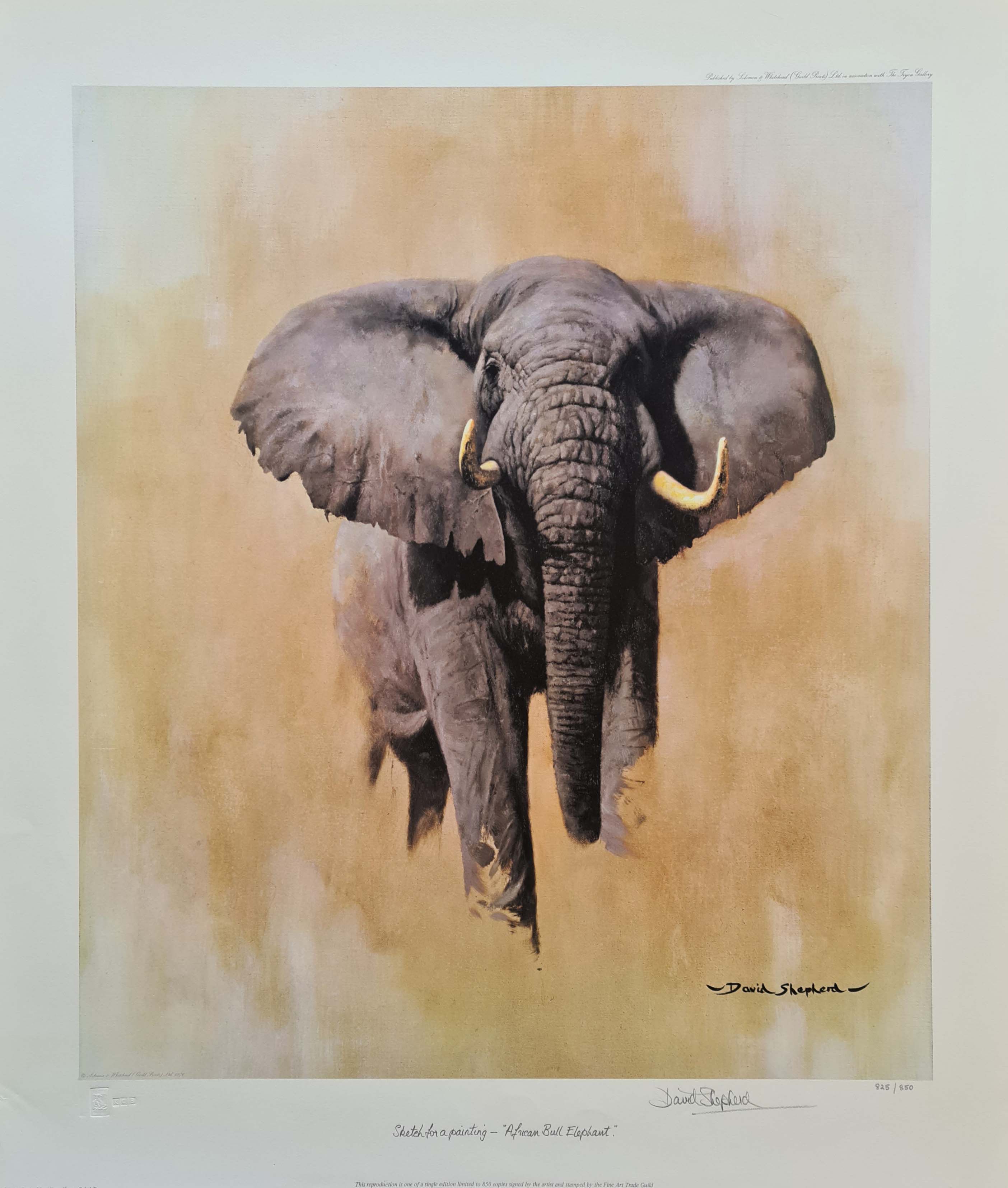 david shepherd signed limited edition print African bull elephant