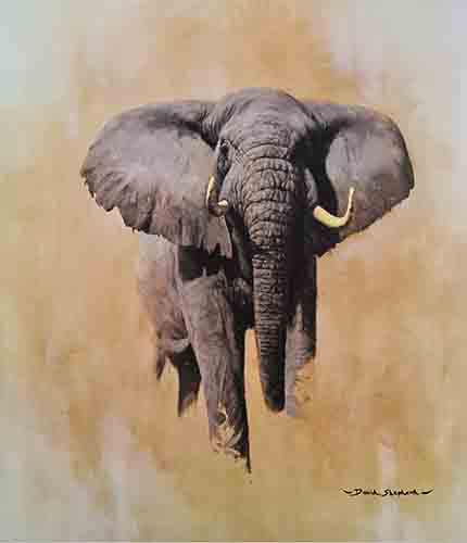 david shepherd African bull elephant elephants , signed, limited edition, print