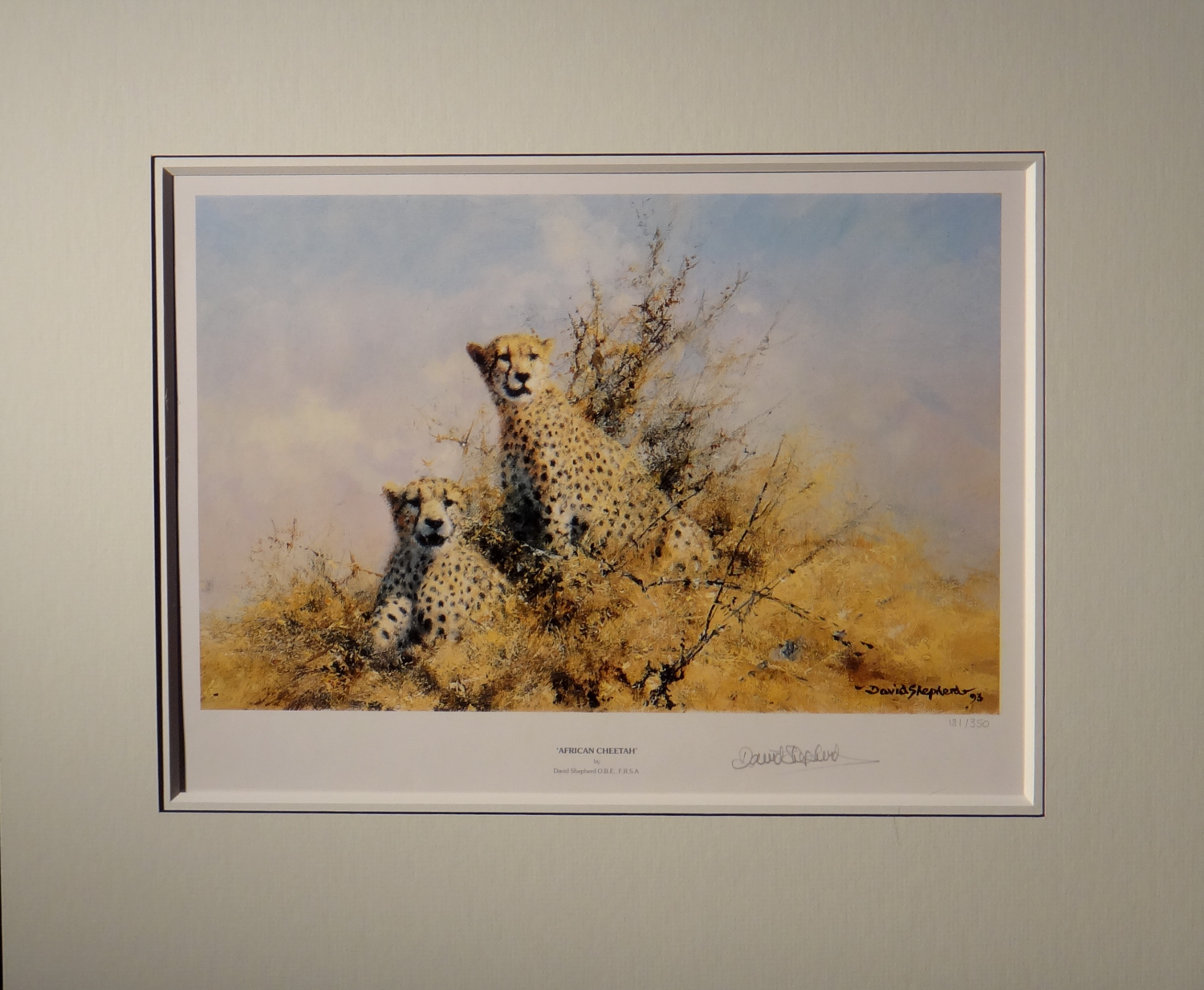 david shepherd, african cheetah, signed print