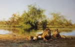 david shepherd African evening, Zambezi waterhole, print