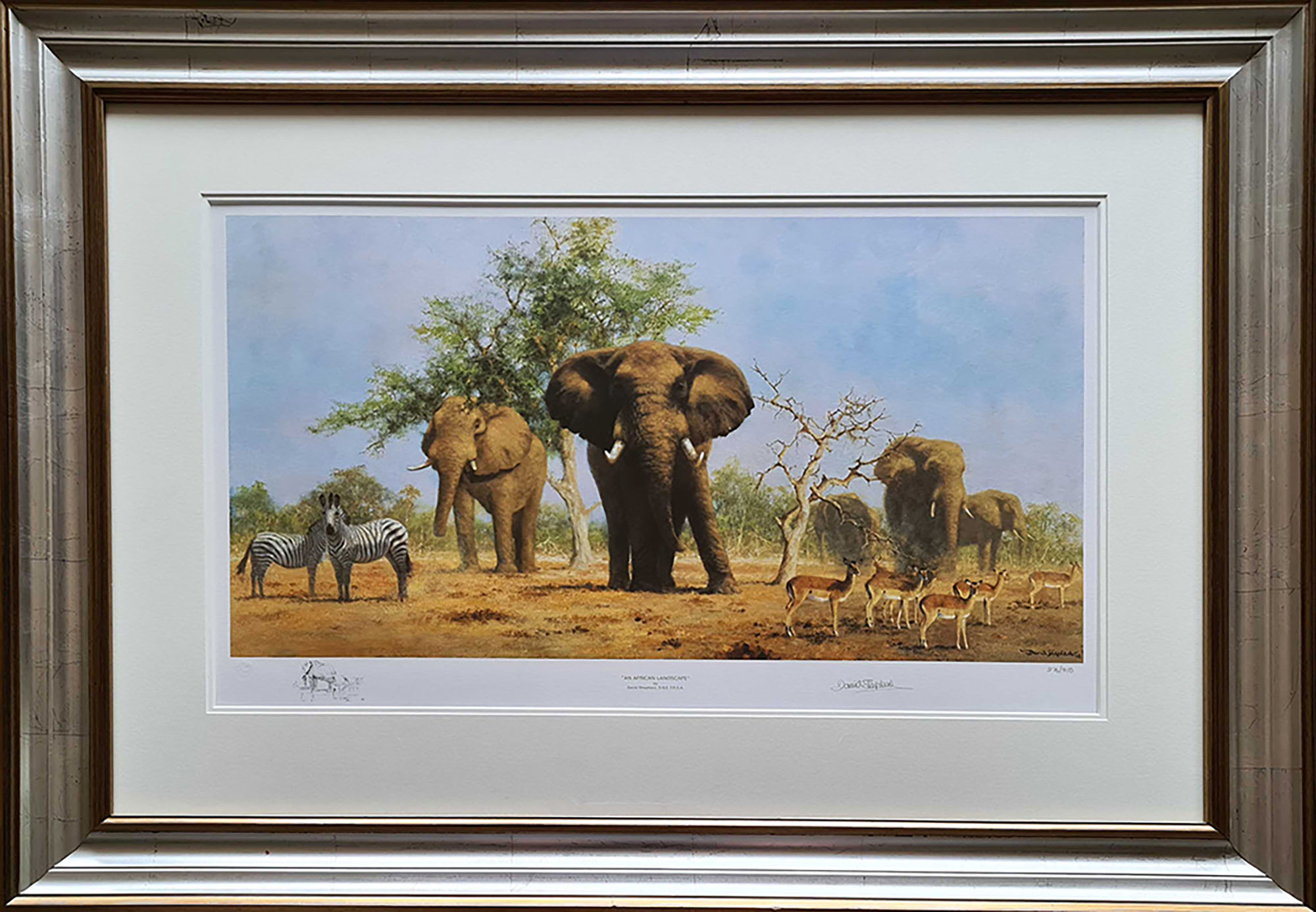 davidshepherd african landscape framed