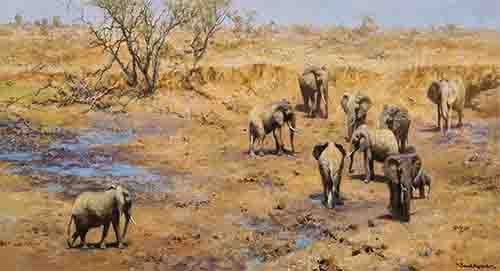 david shepherd african waterhole elephants, signed, limited edition, print