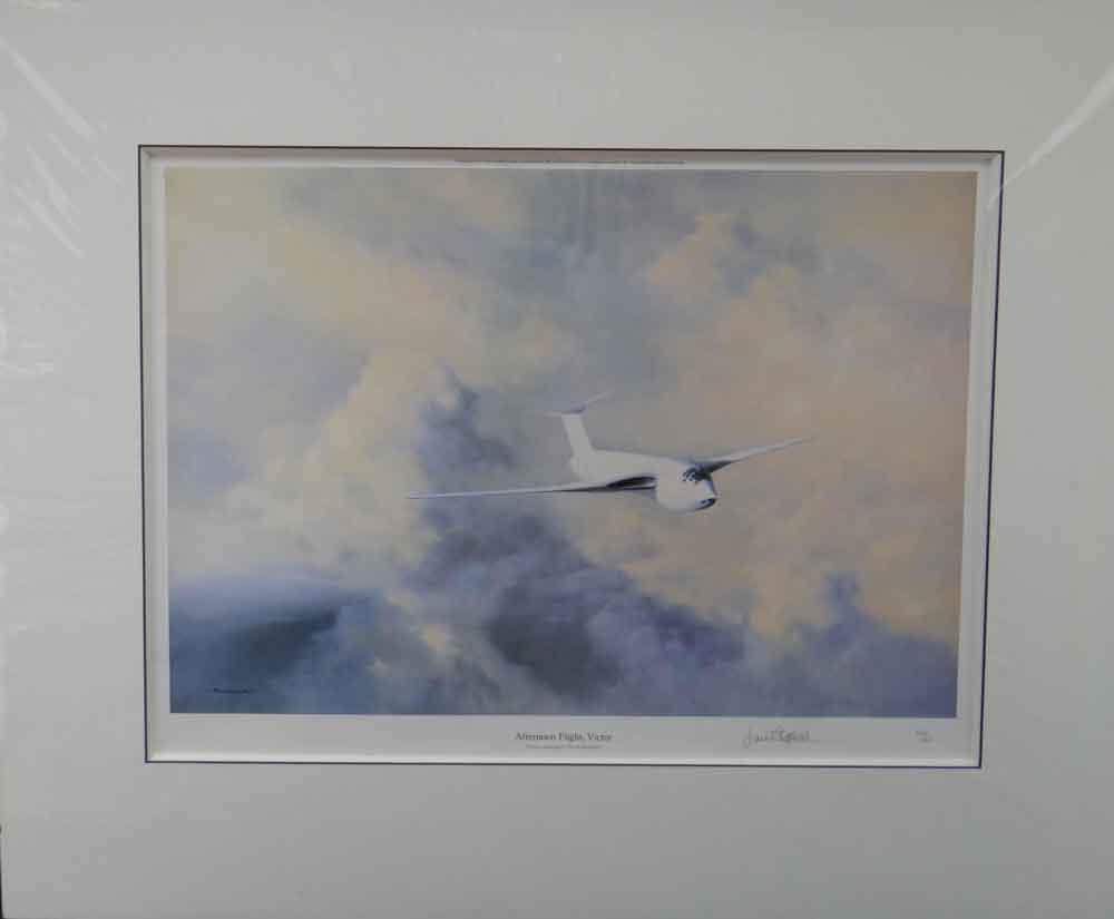 shepherd, afternoon flight, victor, aviation