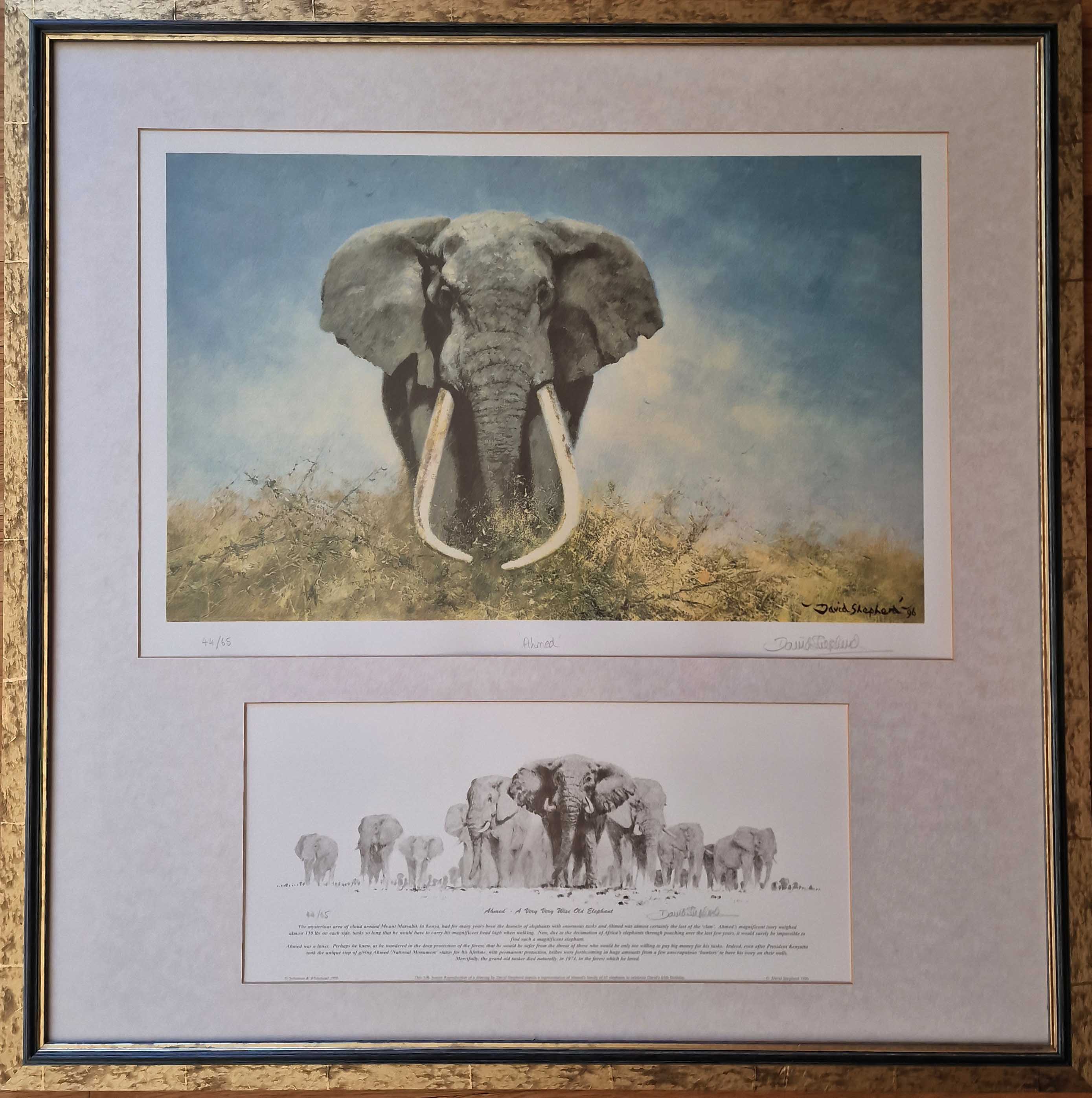 david shepherd signed limited edition print ahmed