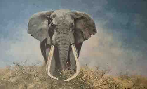 david shepherd, Ahmed, silkscreen, elephants