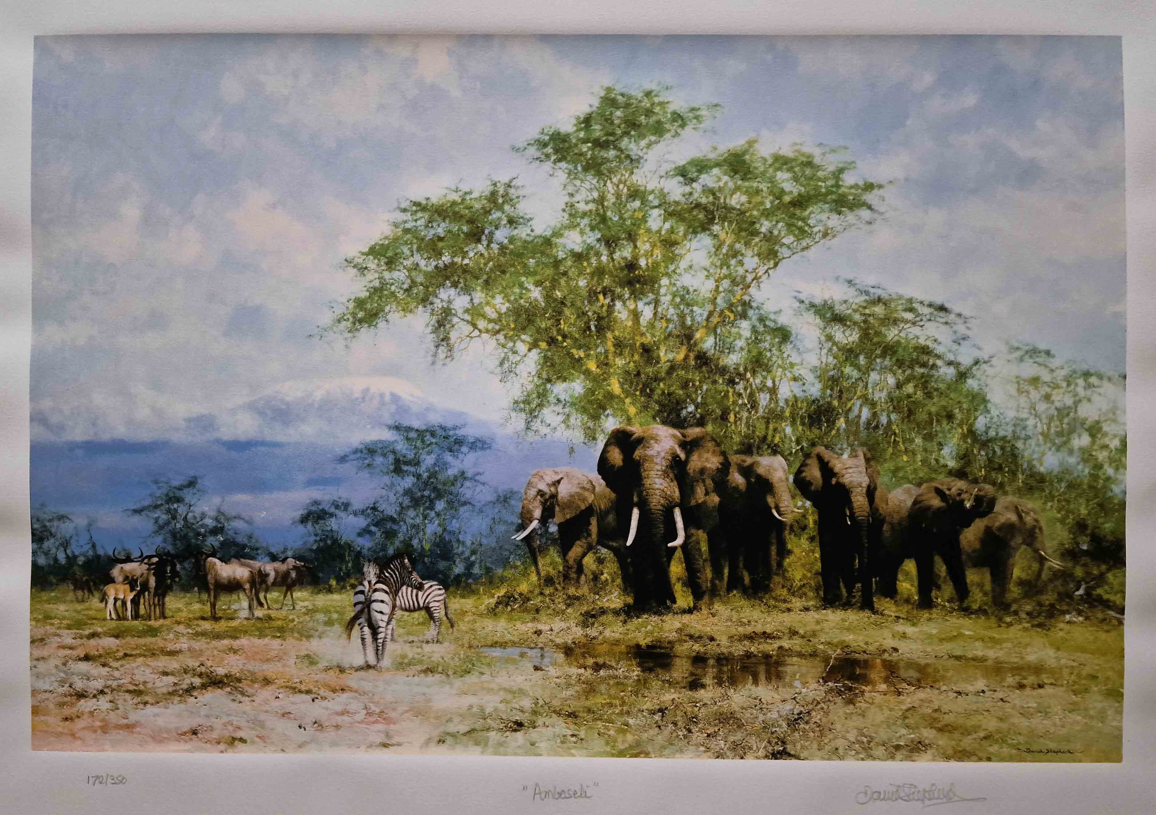 david shepherd signed limited edition print Amboseli