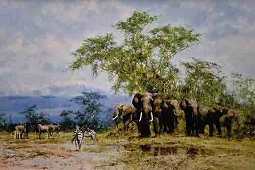 david shepherd evening in africa elephants print