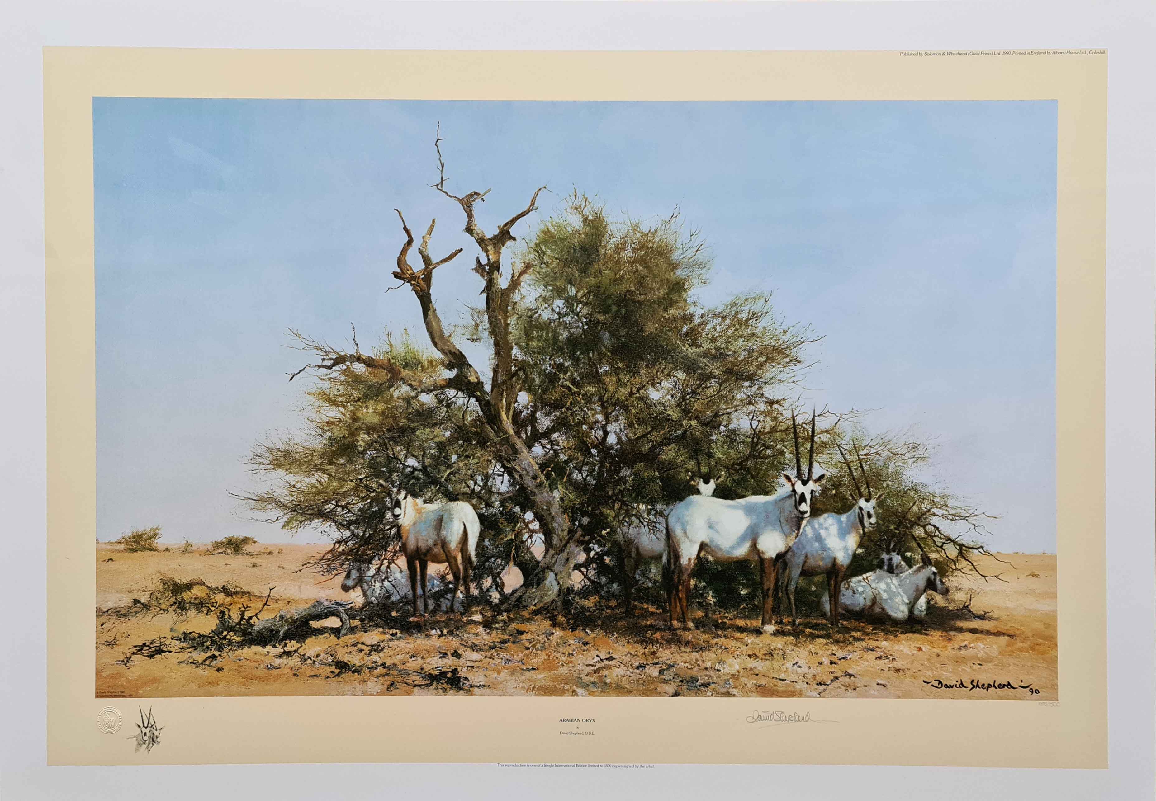 david shepherd, Arabian Oryx, signed limited edition print