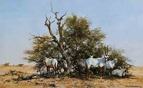 davidshepherd-arabianoryx