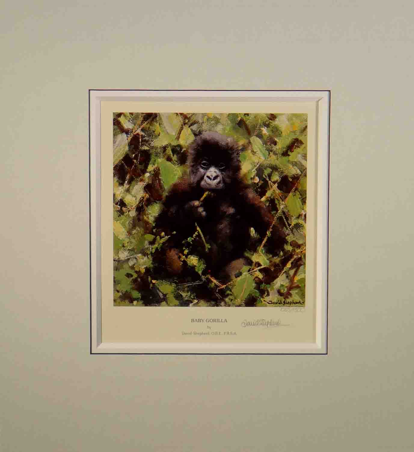 david shepherd, baby Gorilla, signed, limited edition, print