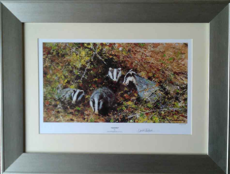 shepherd badgers print