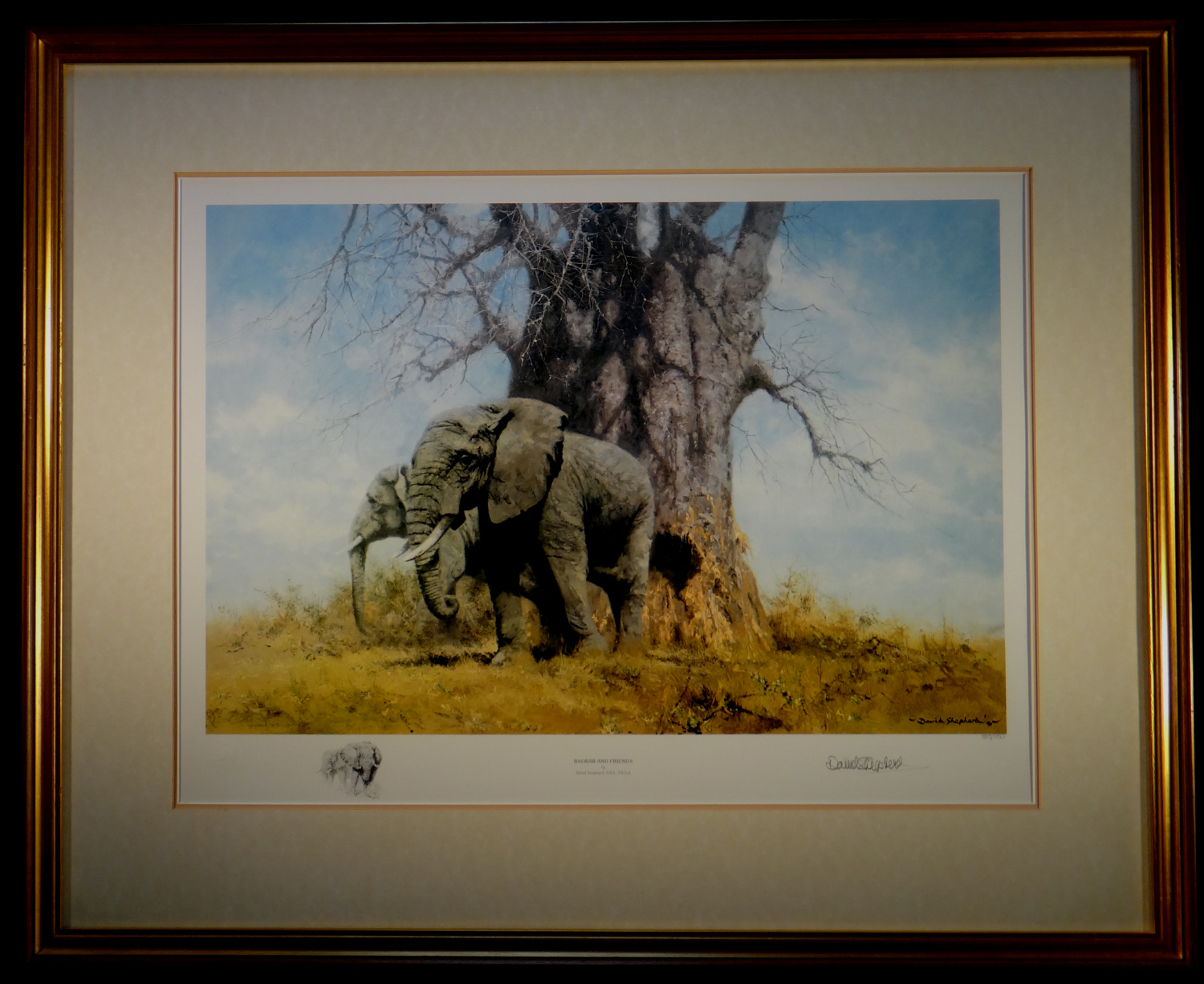 david shepherd, signed klimited edition print, baobab and friends