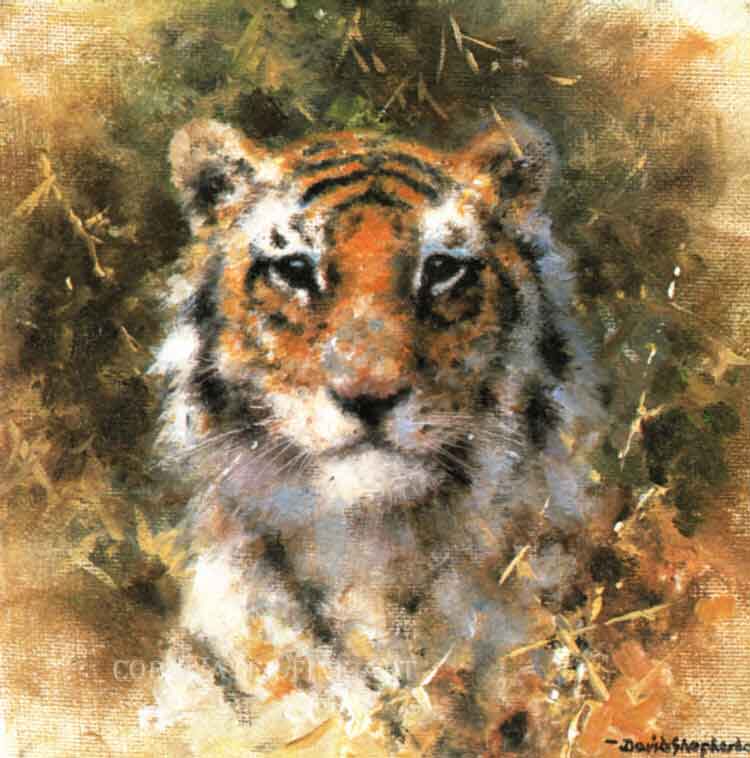 david shepherd bengal tiger