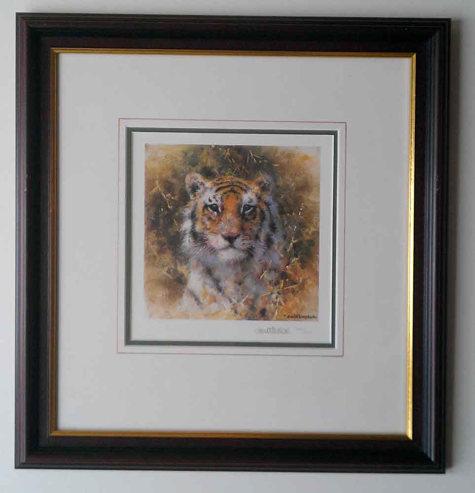david shepherd, bengal tiger, cameo, tiger, signed limited edition print