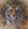 david shepherd bengal tiger cameo print