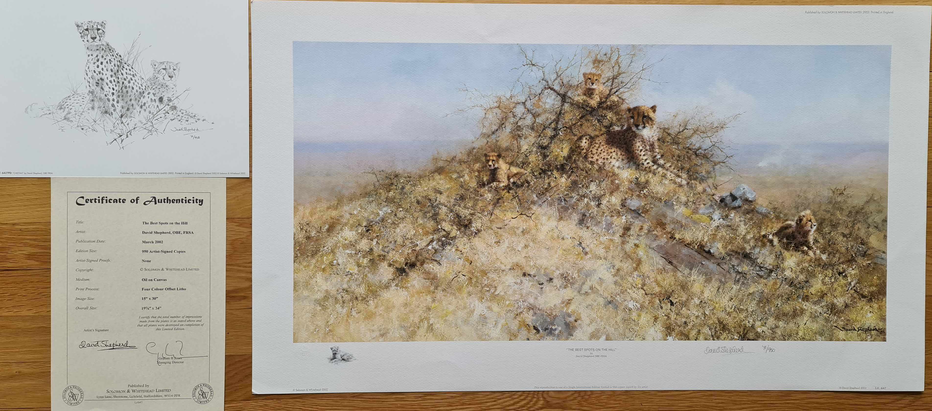 signed limited edition print Cheetahs, best spots on the hill