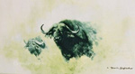david shepherd, big five, buffalo, print