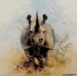 david shepherd rhinos prints