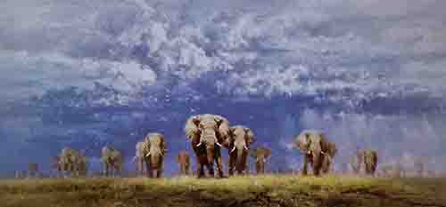 david shepherd, celebration of elephants, signed, limited edition, print