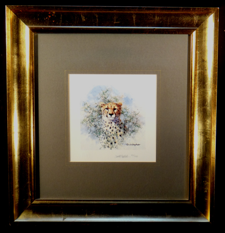 david shepherd, Cheetah cameo, signed print