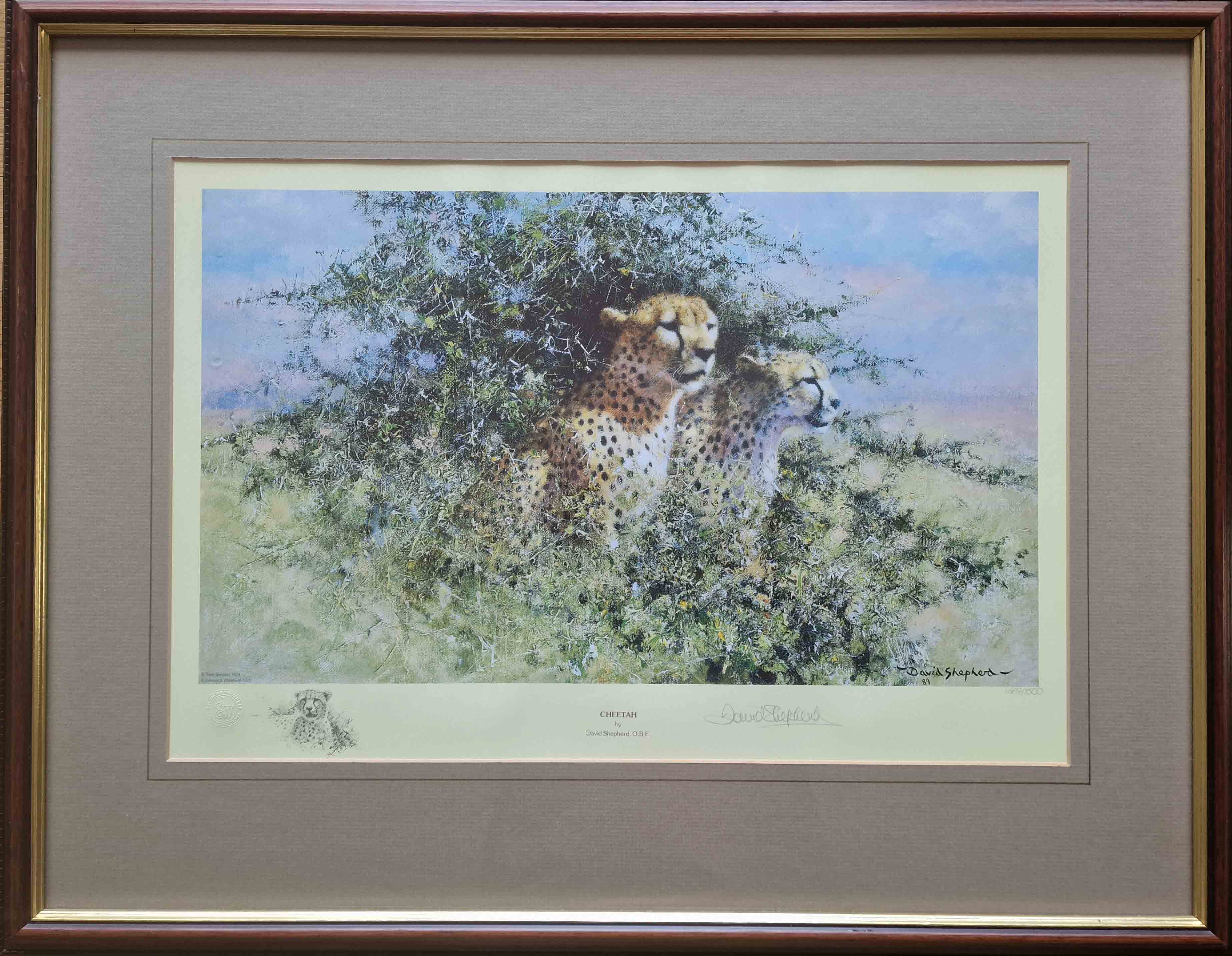 signed limited edition print Cheetahs, framed