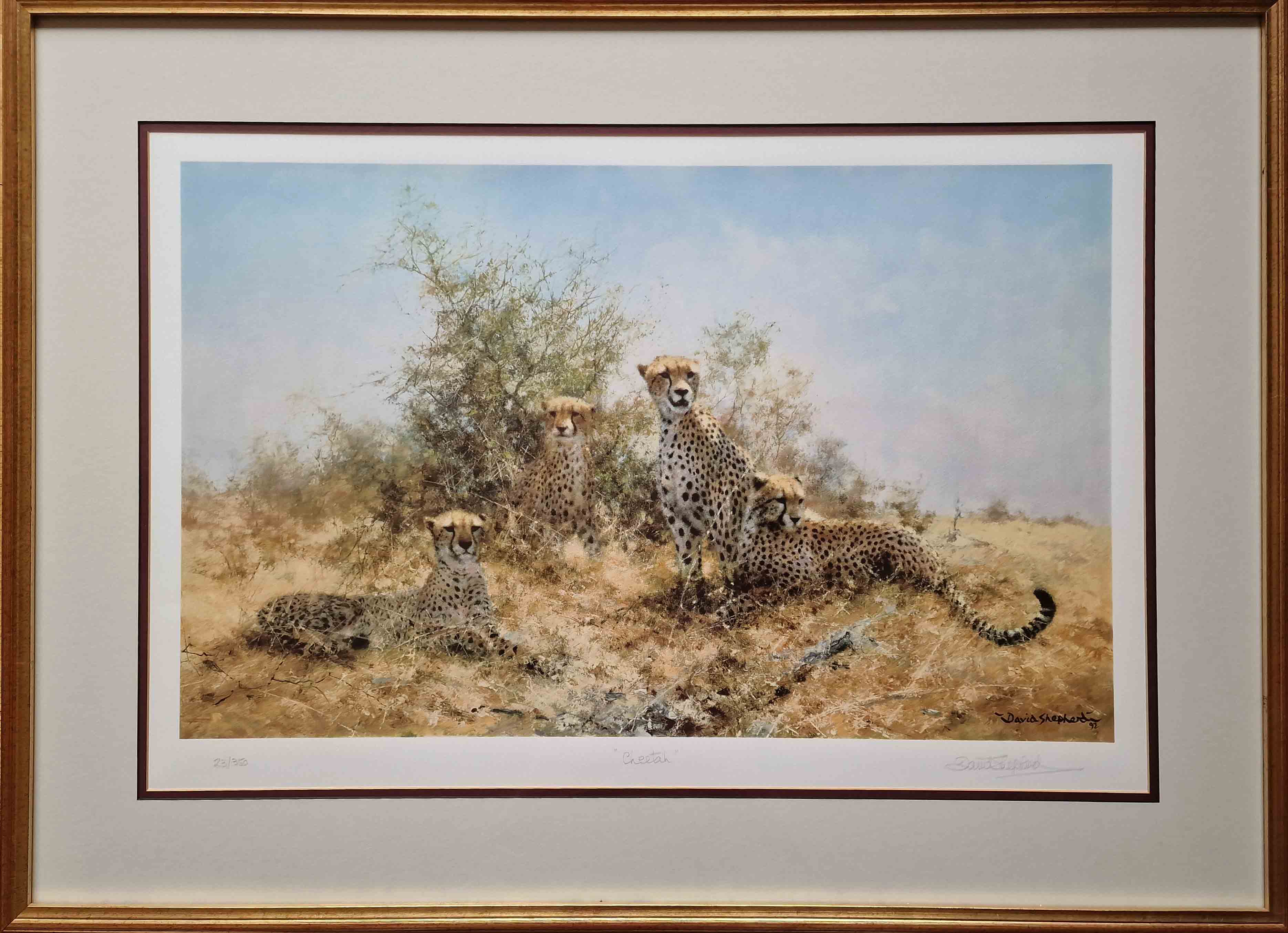 signed limited edition print Cheetahs, silkscreen