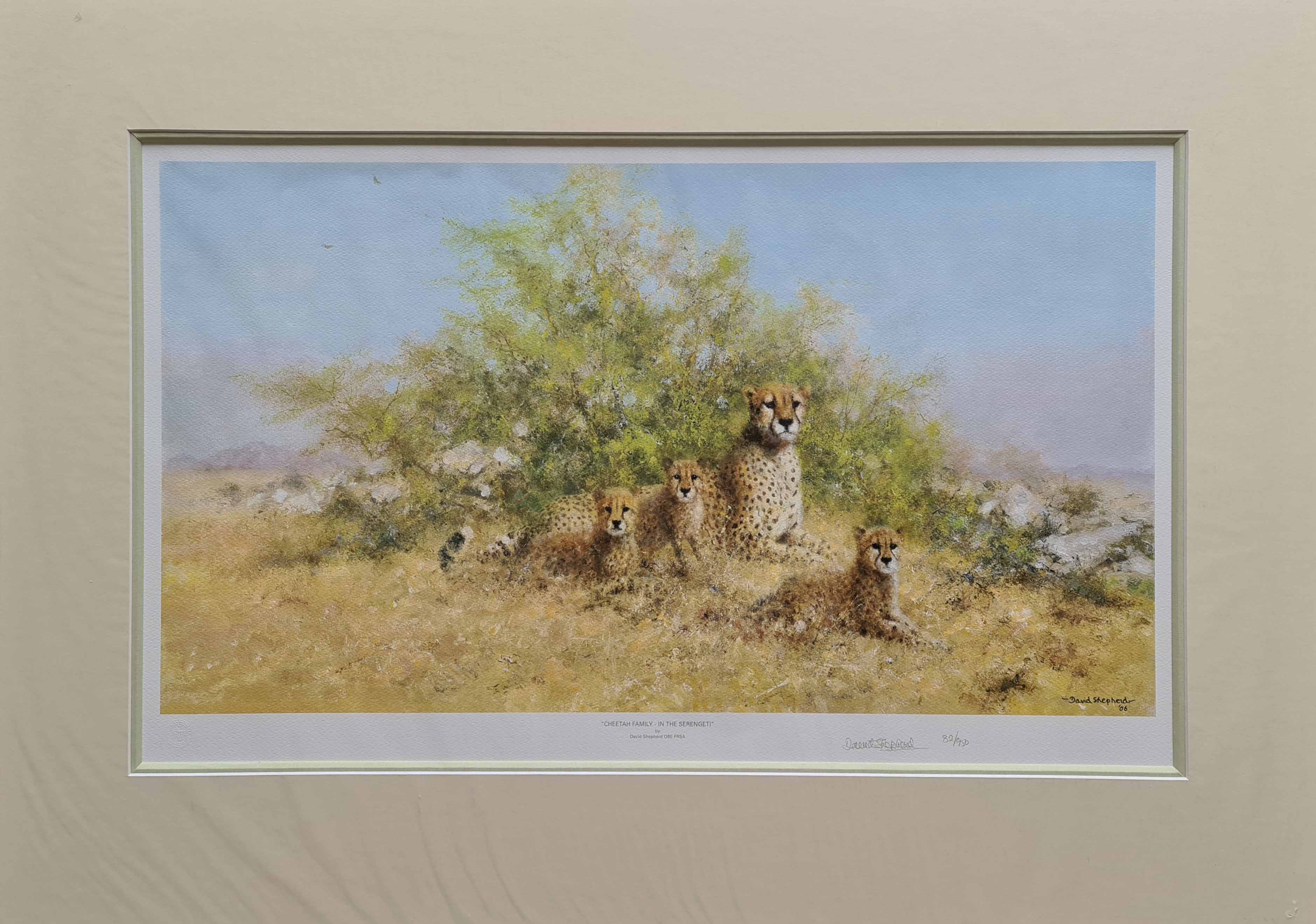 david shepherd cheetahs serengeti family print mounted