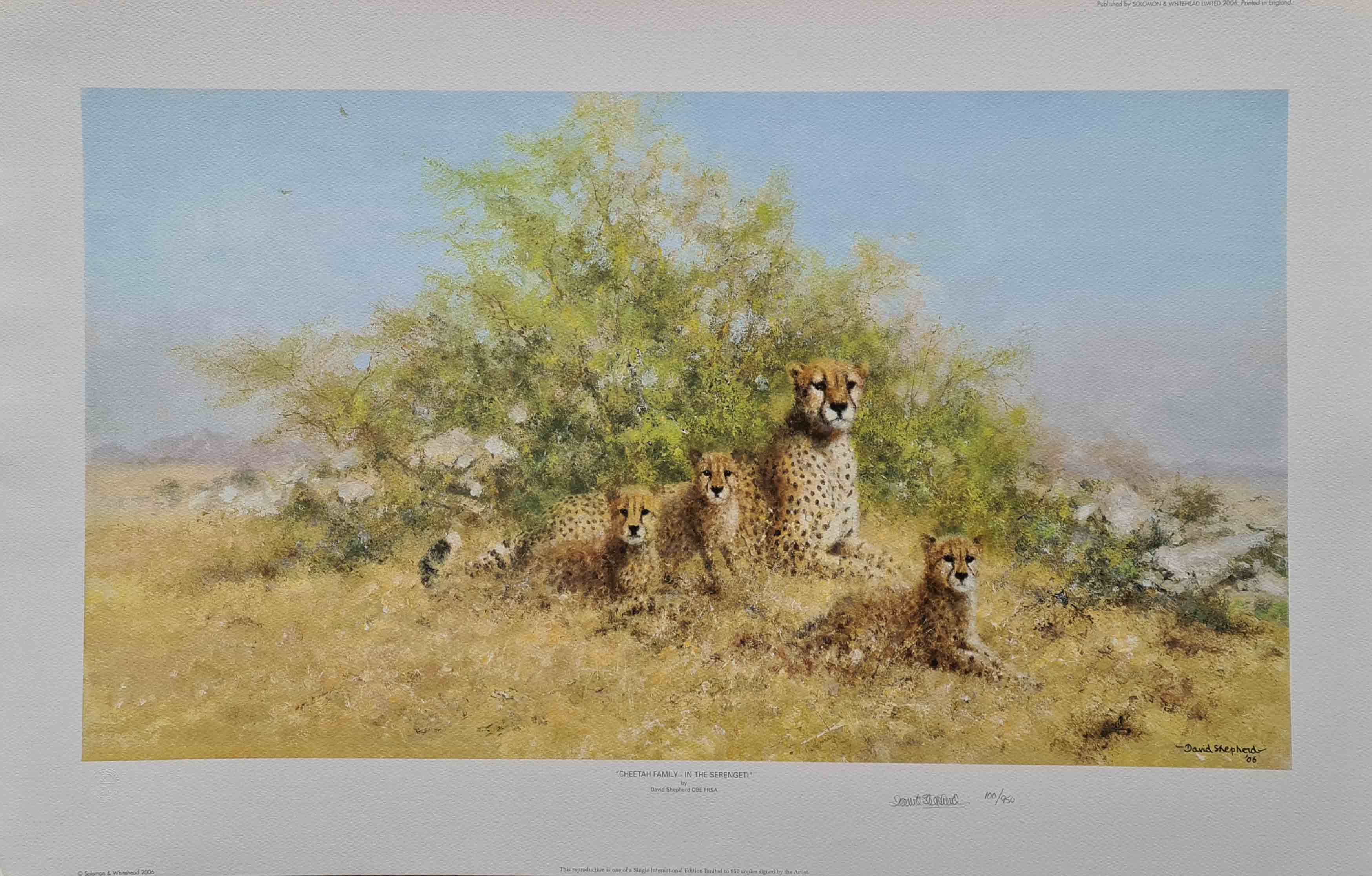 david shepherd-cheetah family title=
