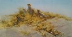 david shepherd cheetahs of namibia print david shepherd cheetahs of namibia print