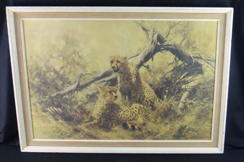 david shepherd  cheetahs poster framed print