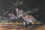 david shepherd clouded leopard and cubs print