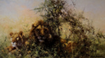 david shepherd cool cats lions print