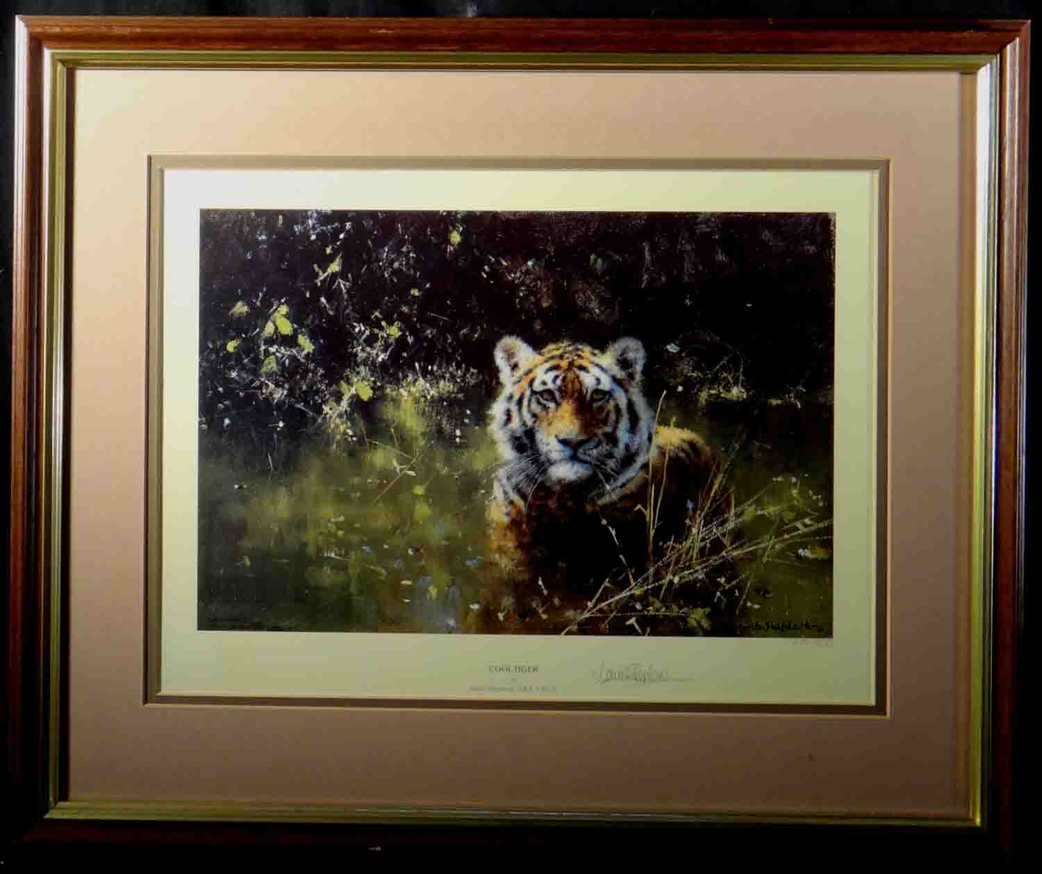 david shepherd, cool tiger, cameo, tiger, signed limited edition print