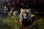 david shepherd cool tiger print