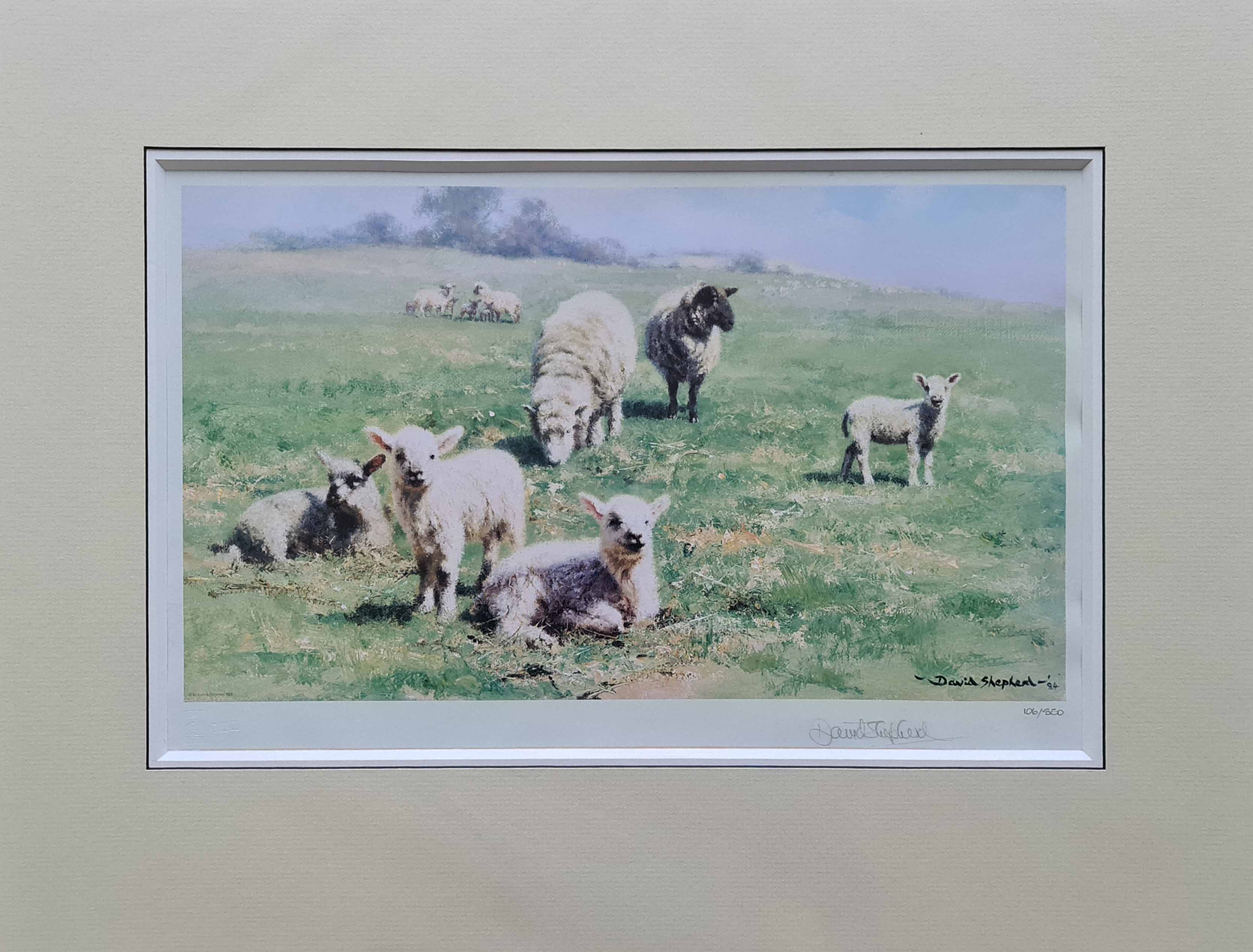 david shepherd, Country cousins, sheep, lambs, signed print