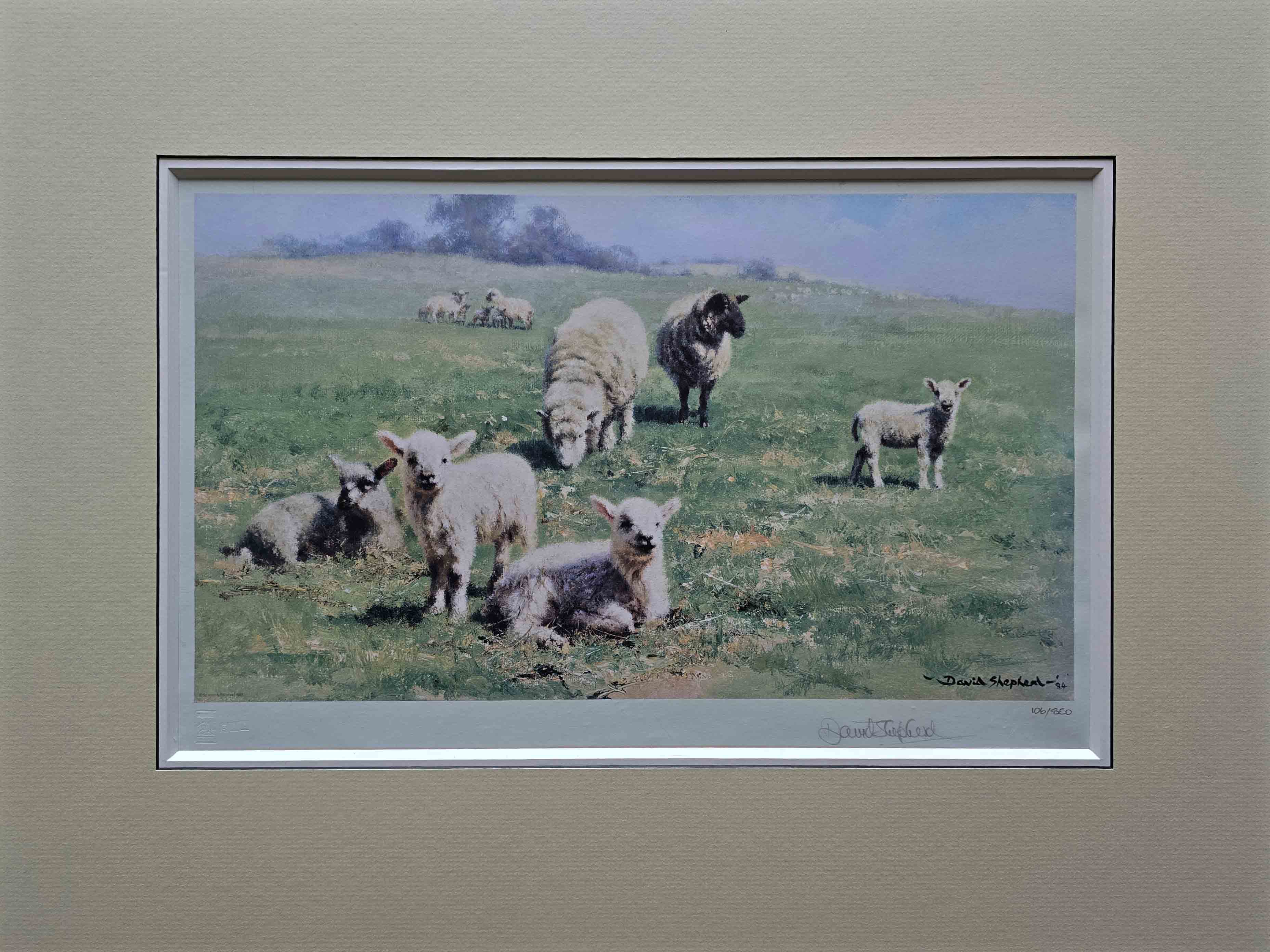 david shepherd, Country cousins, sheep, lambs, signed print