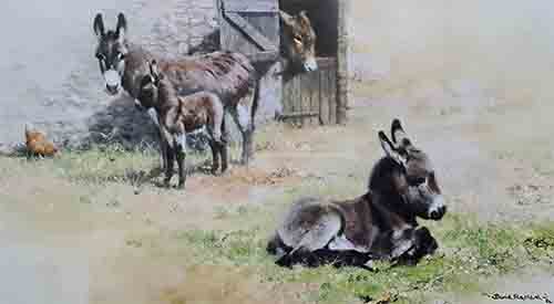 davidshepherd-donkeys