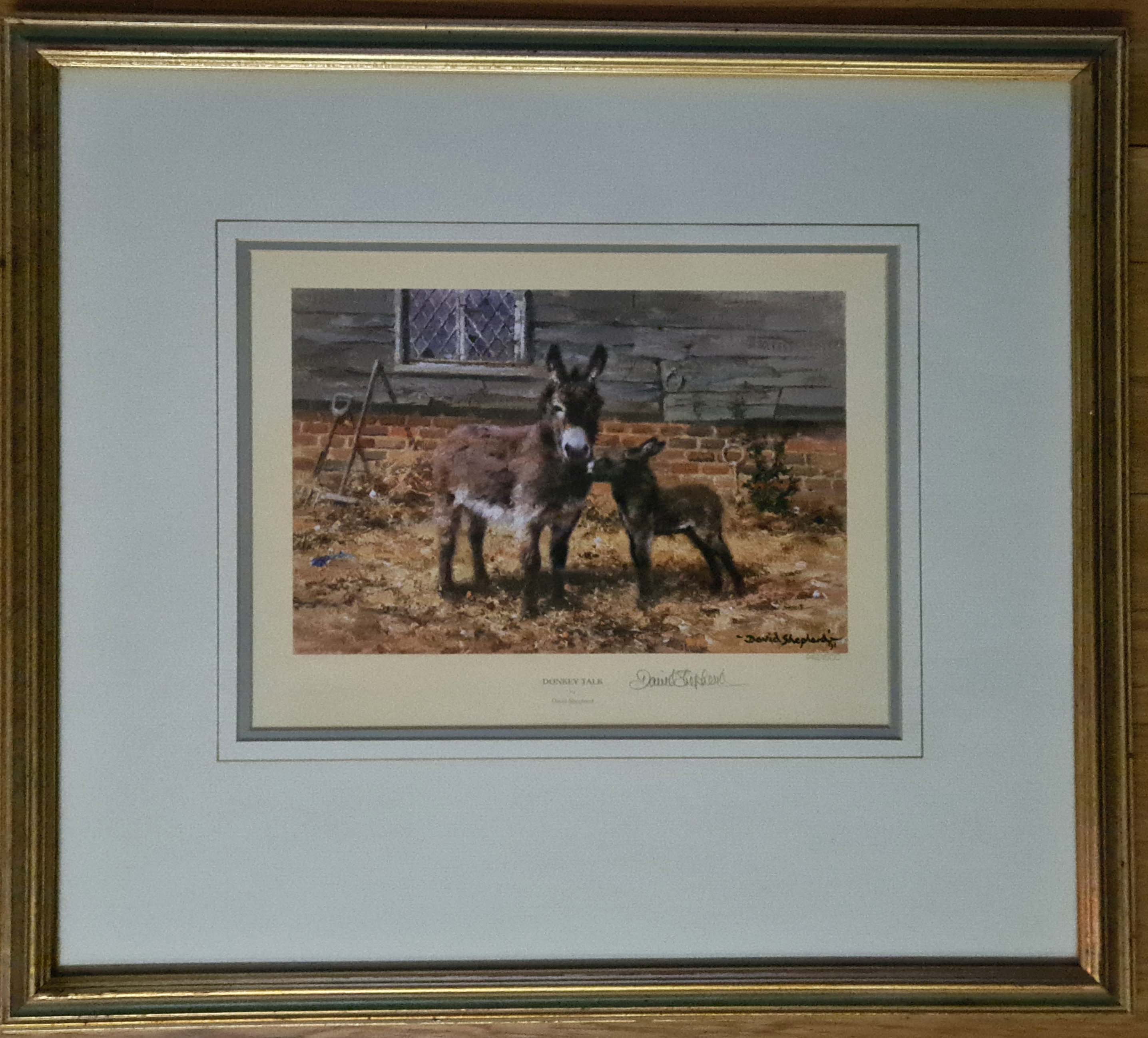davidshepherd-donkeytalk framed