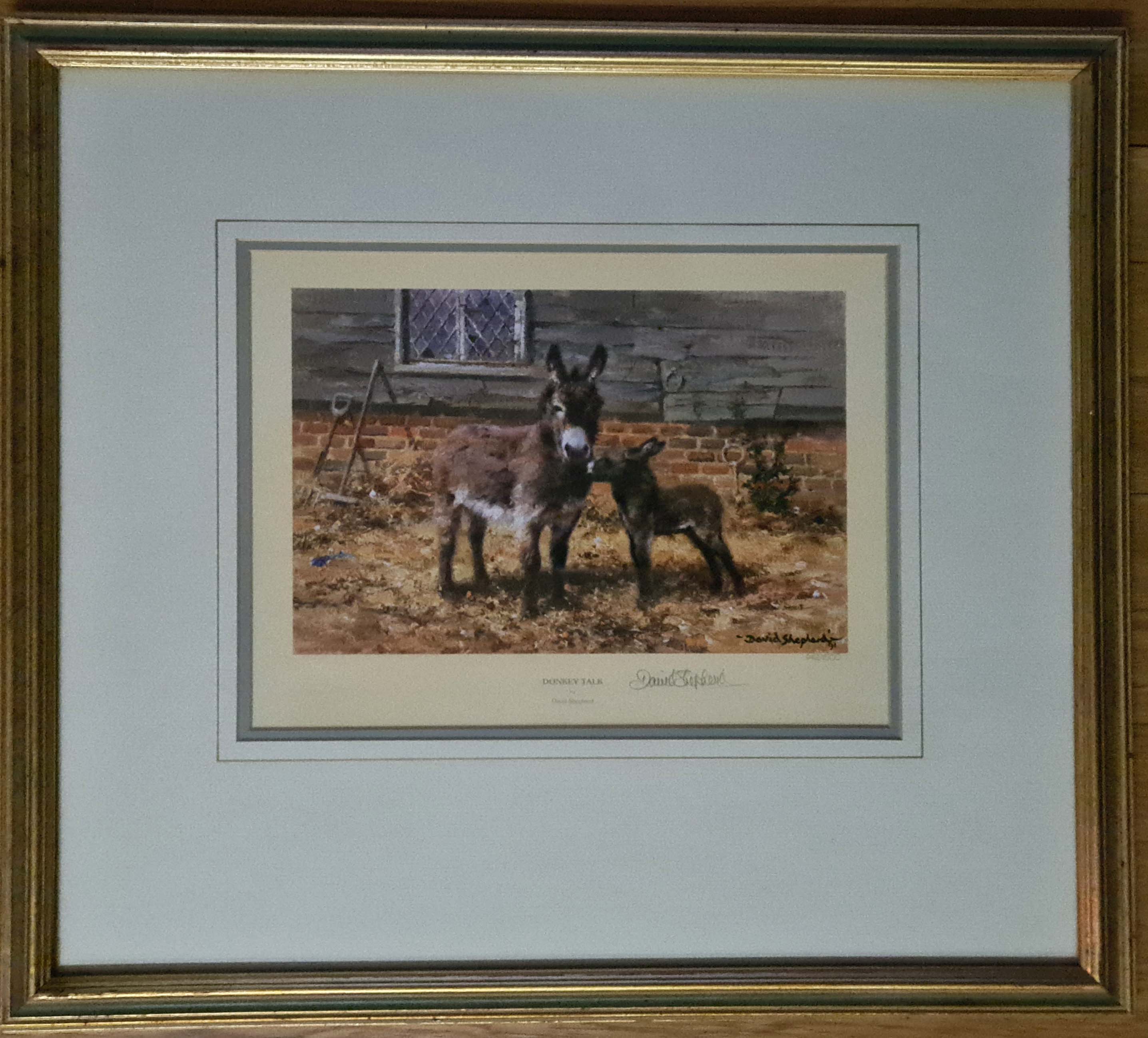 davidshepherd-donkeytalk framed