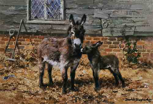 david shepherd, Donkeys prints