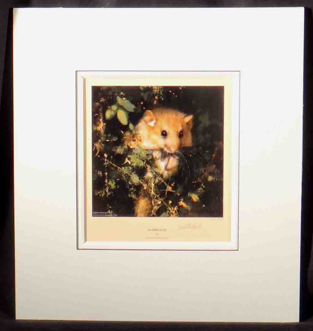 david shepherd dormouse print