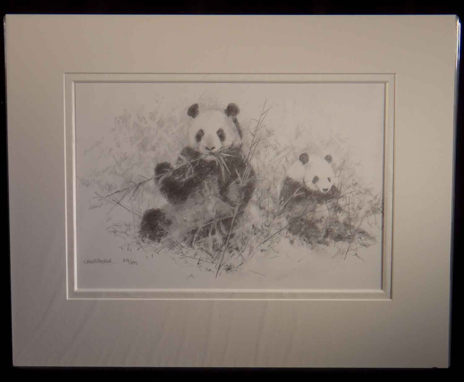 david shepherd, pandas, pencil, sketch, drawing