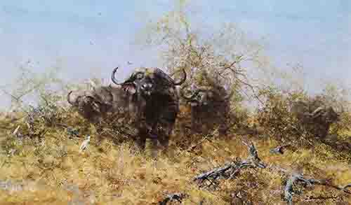 david shepherd buffalo print