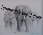 david shepherd elephant signed elephants 1998 pencil drawing print