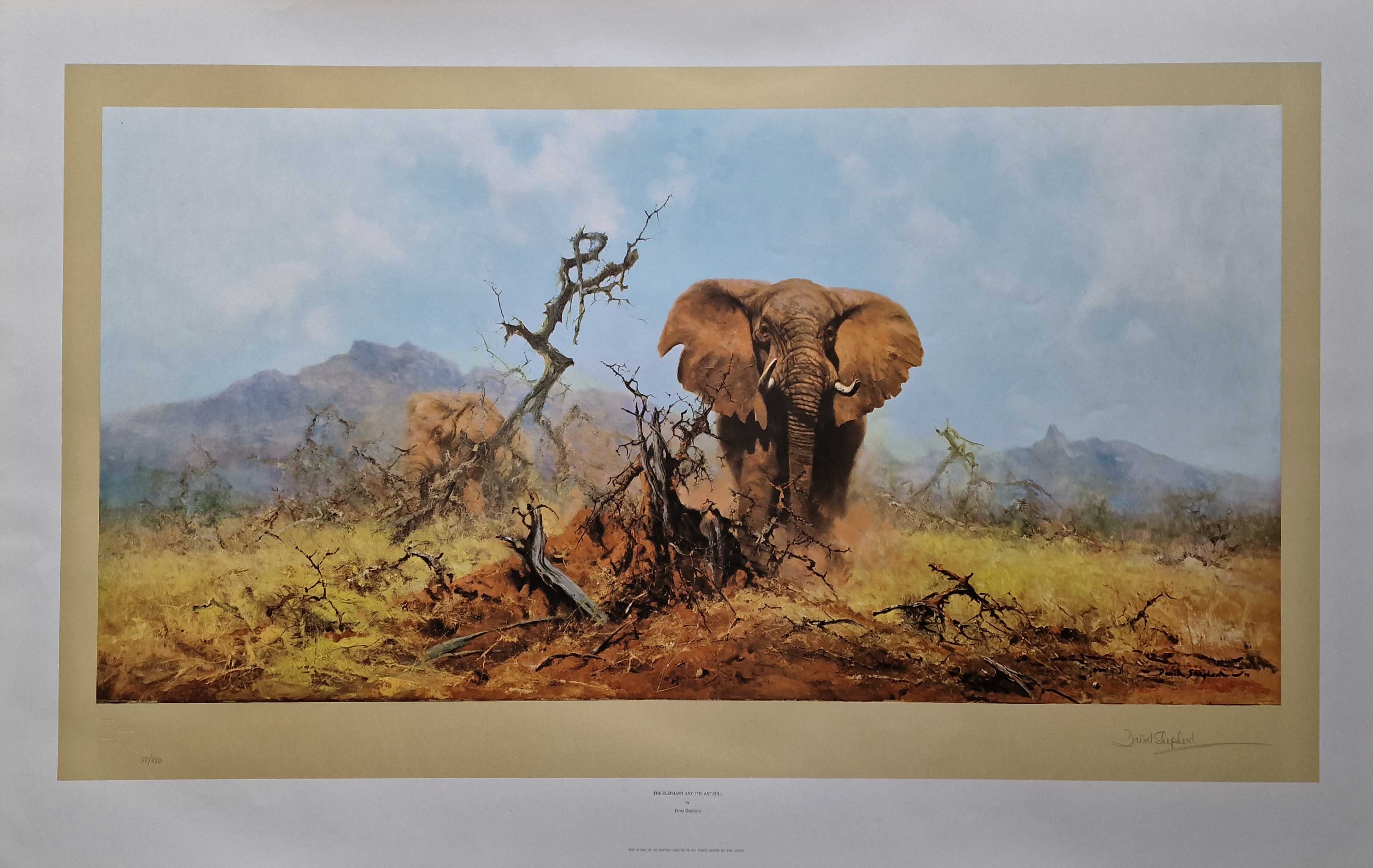 david shepherd elephant and the anthill