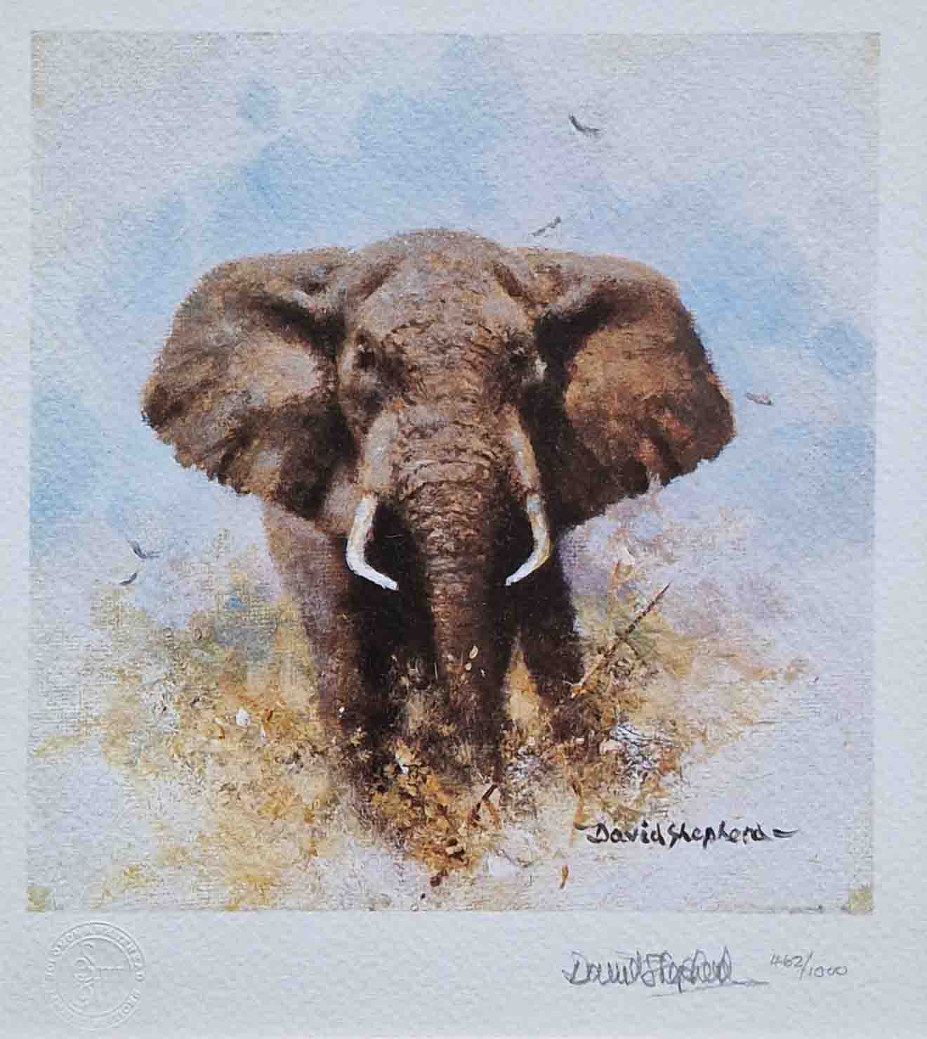 david shepherd elephant cameoelephants print