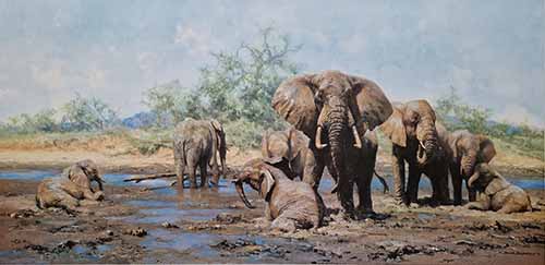 david shepherd elephant heaven elephants, signed, limited edition, print