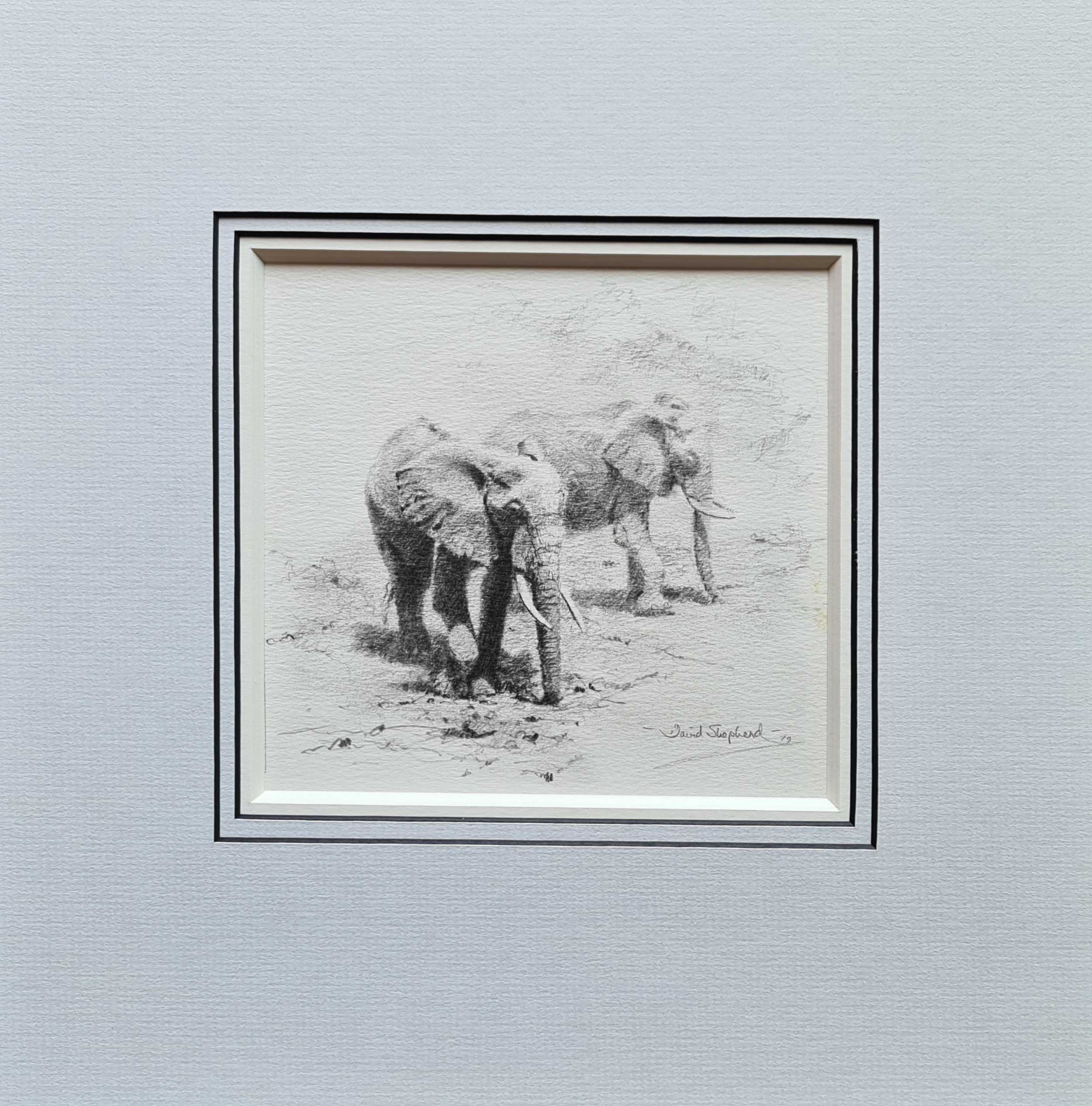 david shepherd original elephants drawing