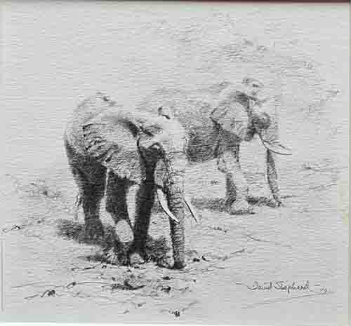 david shepherd, Elephants, drawing
