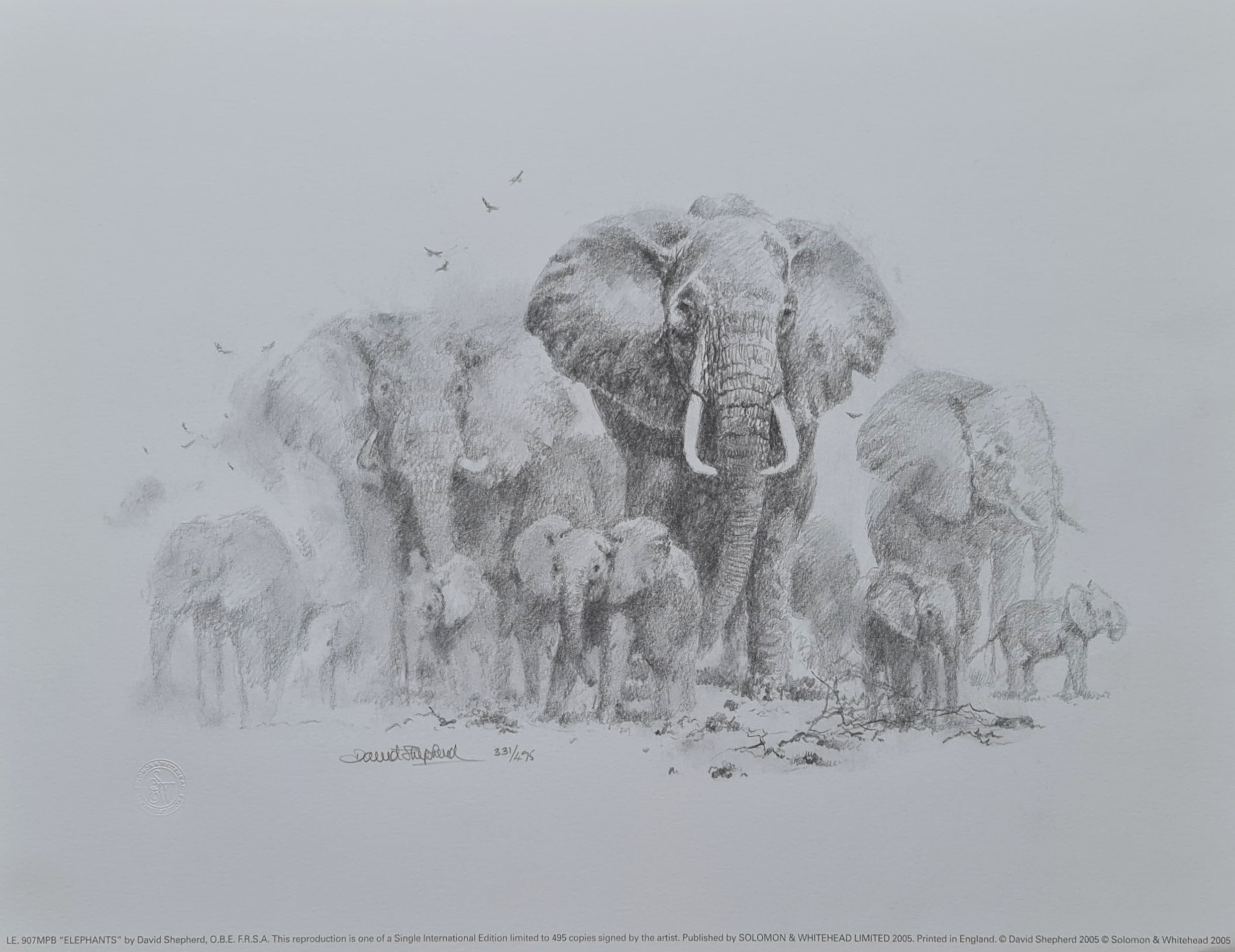 elephant drawing 2005